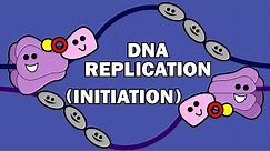 DNA REPLICATION (1/3) - INITIATION