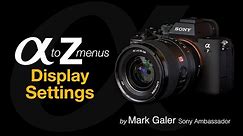 Sony Alpha Menus A to Z: Display Settings