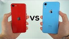 iPhone SE 2020 vs iPhone XR, ¿Cuál comprar?
