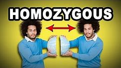 Learn English Words: HOMOZYGOUS - Meaning, Vocabulary with Pictures and Examples
