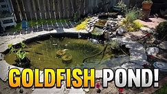 My 500 Gallon Outdoor Goldfish Pond And Waterfall!