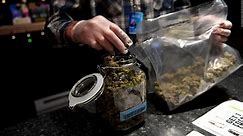 Estudio vincula la legalización del cannabis con un mayor consumo
