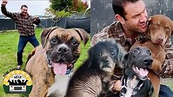 Rescuing 9 adorable dogs from the crowded shelter | The Asher House