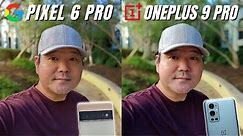 Google Pixel 6 Pro vs OnePlus 9 Pro Camera Comparison