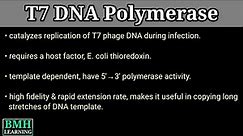 T7 DNA Polymerase