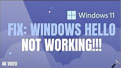 Fix Windows Hello not working in Windows 11