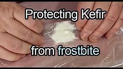 How to freeze kefir without killing it!