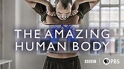 The Amazing Human Body Season 1 Episode 1