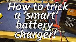 How to be Smarter than a Smart Automatic Car Battery Charger! An easy Trick to Charge a Dead Battery