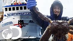 Northwestern's King Crab Season So Far | NEW Deadliest Catch