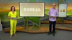 Globo Rural – Edição de 26/11/2023