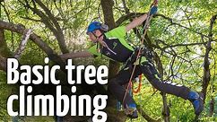Simple & safe tree climbing ascent technique