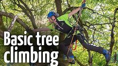 Simple & safe tree climbing ascent technique