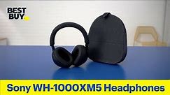 Sony WH-1000XM5 Wireless Noise-Canceling Over-the-Ear Headphones - from Best Buy