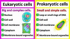 EUKARYOTIC CELLS vs PROKARYOTIC CELLS | What's the difference?