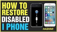 How to remove/reset any disabled or Password locked iPhones 6S & 6/Plus/SE/5s/5c/5/4s/4/iPad or iPod