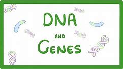 GCSE Biology - DNA Part 1 - Genes and the Genome #63