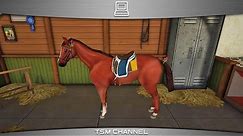 Horse World 3D : My Riding Horse (part 8) (Horse Game)