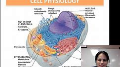 Cell Physiology (Unit 1 - Video 7)