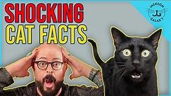 7 Shocking Cat Facts!
