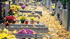 Cmentarz komunalny a cmentarz parafialny – czy wiesz, czym się różnią? Czy każdy może być pochowany na cmentarzu wyznaniowym?