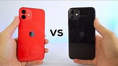 iPhone 12 vs iPhone 11, DEBES SABERLO!