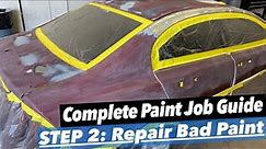 How To Paint a Car Guide: Episode 2 Preparing Faded Paint for Repair
