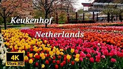 Discover the Magic of Keukenhof Garden|Netherlands |Tulips garden Tours in Spring | 4k UHD