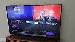 INSIGNIA 55 inch Class F30 Series LED 4K UHD Smart Fire TV Review