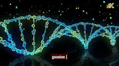 What is DNA and How Does it Work - video Dailymotion