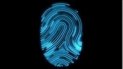 Digital Fingerprint Scan in Full HD - Downloadlink in Description