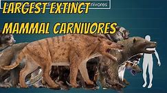 Top Largest Extinct Mammal Carnivores Size Comparison