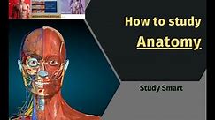 How to study Anatomy.
