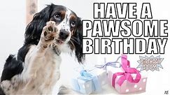 Funny Happy Birthday Memes of Dogs