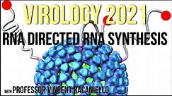 Virology Lectures 2021 #6 - RNA Directed RNA Synthesis