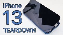 iPhone 13 Teardown - Full Disassembly