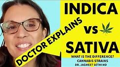 Indica vs Sativa vs Hybrid in Cannabis. Dr. Jagmeet Sethi MD.