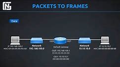 Routers, Switches, Packets and Frames