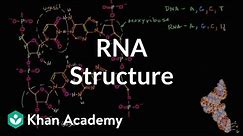 Molecular structure of RNA | Macromolecules | Biology | Khan Academy