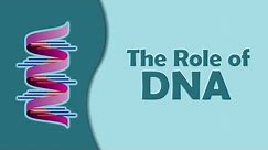 Grade-12 (Biology) The Role of DNA
