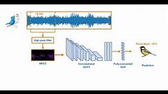 SOUND BASED BIRD CLASSIFICATION - Sound Recognition - Bird Noise Recognition -Research- Colaboratory