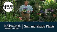 Sun and Shade Plant Varieties | Garden Home (310)