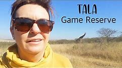 Tala Game Reserve / KwaZulu-Natal / South Africa