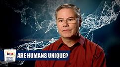 Are Humans Unique?