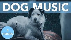 Thunderstorm Music to Relax Dogs!
