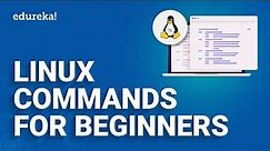 Linux Commands | Basic Linux Commands for Beginners | Edureka
