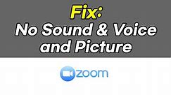 Fix: No sound, voice, picture in Zoom Meeting (for Windows 10 PC, How to fix it)