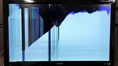 How to fix a broken LCD TV for FREE and give it a second life.