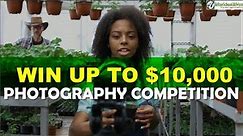Top 10 Photography Contests for Professional and Amateur Photographers