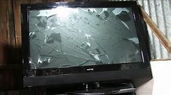 Soniq 42" Plasma TV Destruction